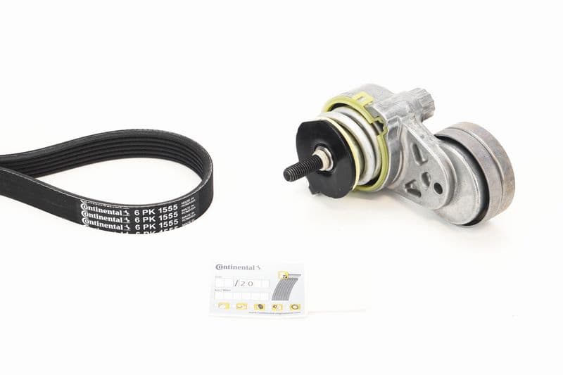 Set curea transmisie cu caneluri CONTINENTAL CTAM 6PK1555K5