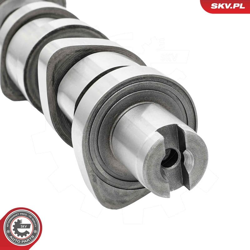 Ax cu came ESEN SKV 80SKV004
