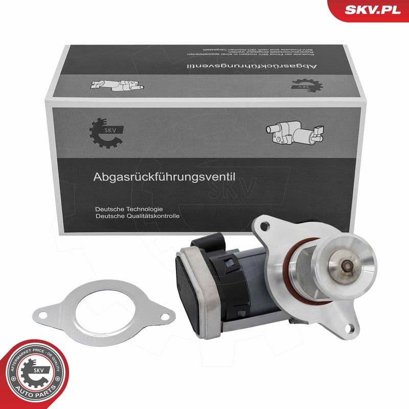 Supapa EGR ESEN SKV 14SKV309