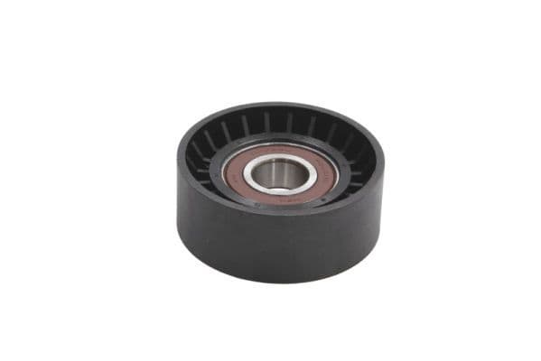 Intinzator curea, curea distributie BTA E2C0030BTA