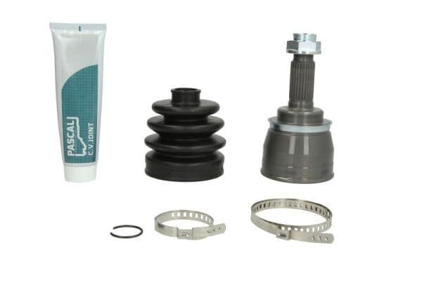 Set articulatie, planetara PASCAL G18007PC