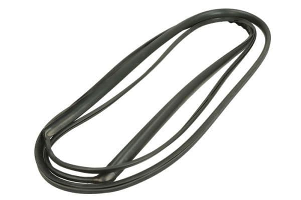 Garnitura, parbriz BLIC 5703-04-6037240Q