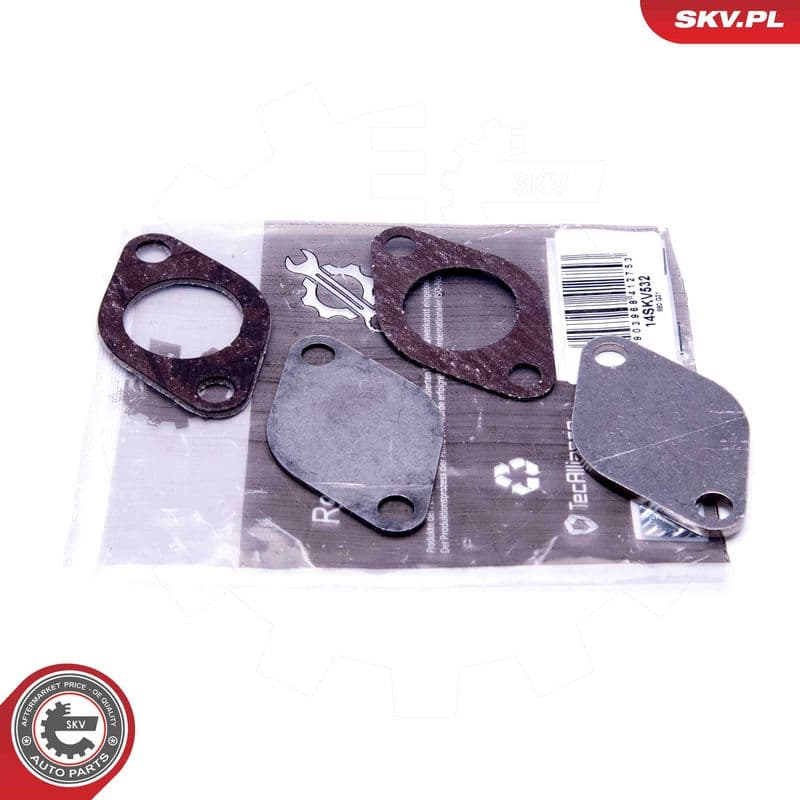 Set de reparație, supapă AGR ESEN SKV 14SKV532