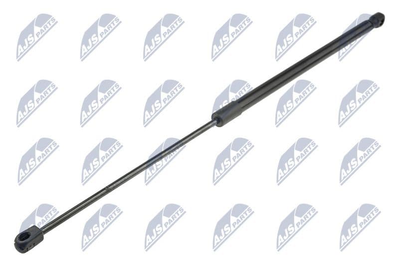 Amortizor portbagaj NTY AE-FR-058