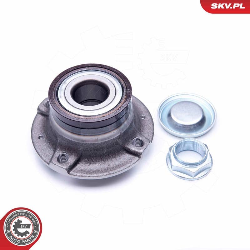 Set rulment roata ESEN SKV 29SKV222