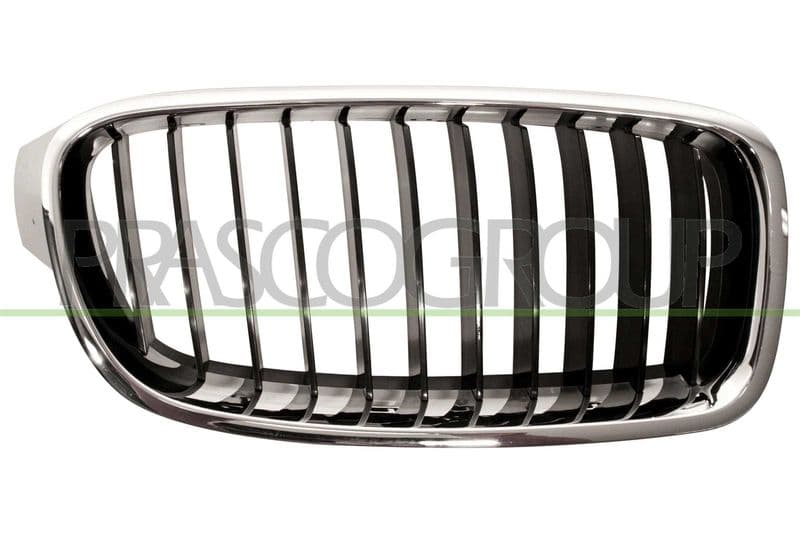 Grila radiator PRASCO Premium BM0282003