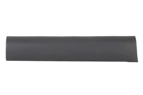 Elemente decorative/protectie, portiera BLIC 5703-04-6460578P