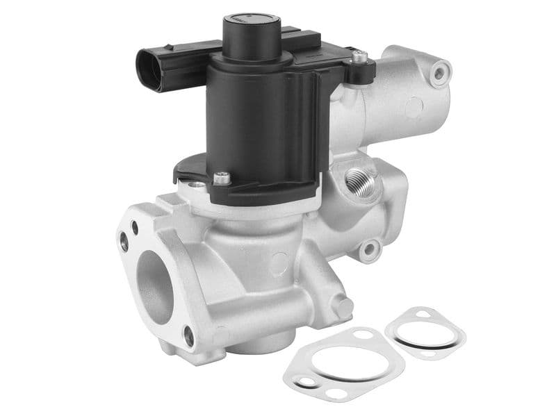 Supapa EGR BorgWarner 729020D
