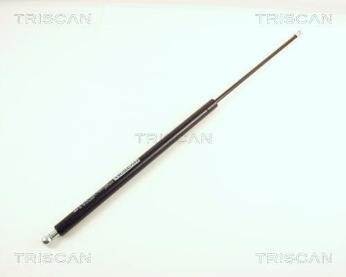 Amortizor portbagaj TRISCAN 8710 29234