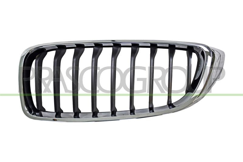 Grila radiator PRASCO BM4002014
