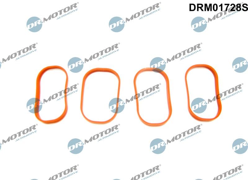 Set garnituri, galerie admisie Dr.Motor Automotive DRM01728S