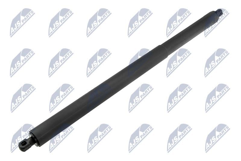 Amortizor portbagaj NTY AE-FR-079