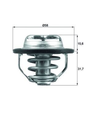 termostat,lichid racire MAHLE BEHR TX 122 82