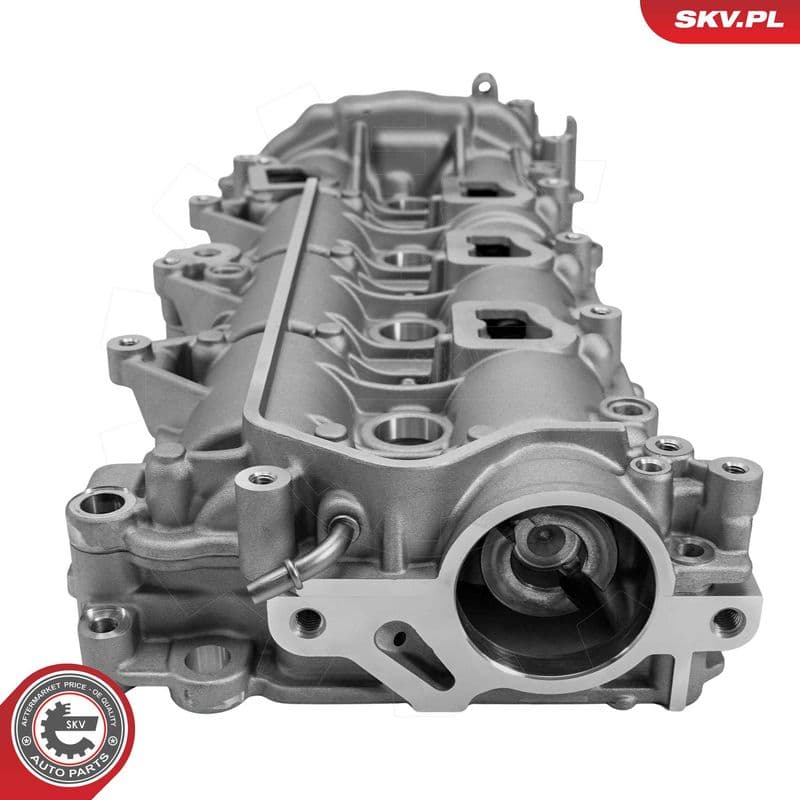 Set ax cu came ESEN SKV 21SKV273