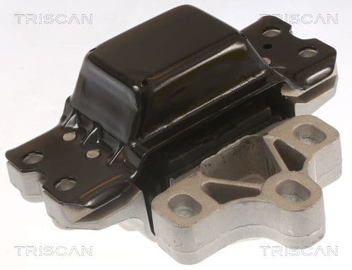 Suport motor TRISCAN 8505 29116