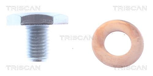 surub de golire,baia de ulei TRISCAN 9500 1010-20