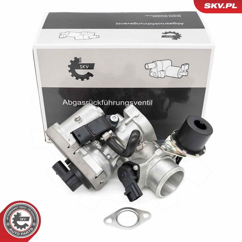 Supapa EGR ESEN SKV 14SKV256