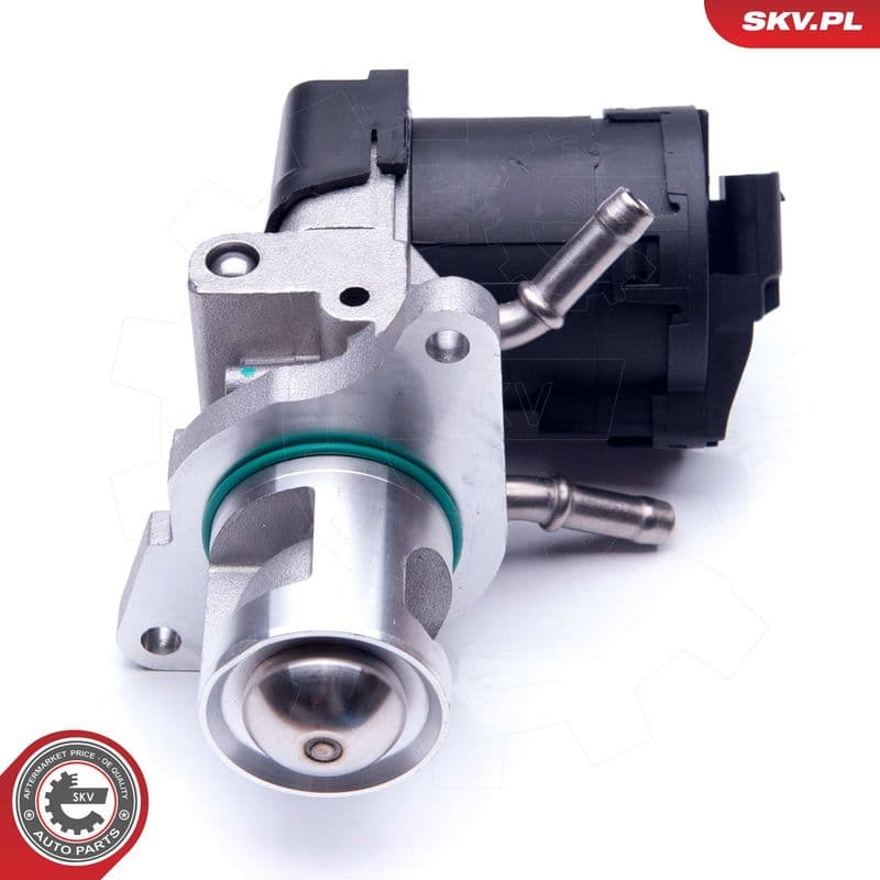 Supapa EGR ESEN SKV 14SKV169