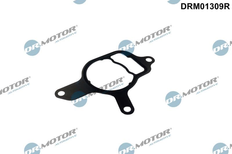 Garnitura, pompa vacuum Dr.Motor Automotive DRM01309R