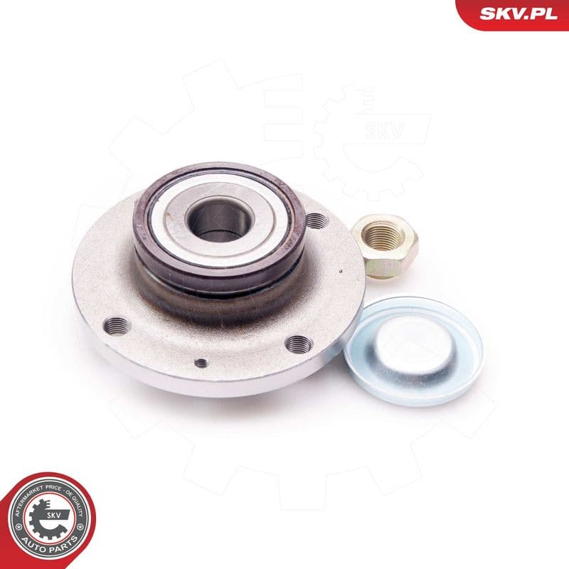 Set rulment roata ESEN SKV 29SKV093