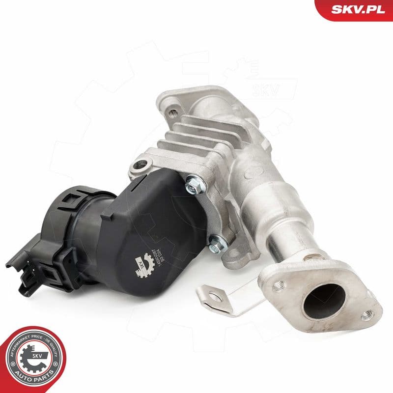 Supapa EGR ESEN SKV 14SKV287