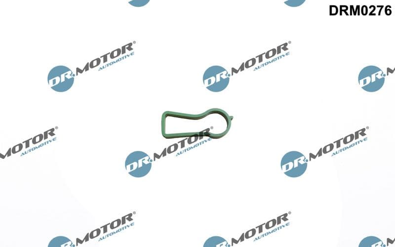 Garnitura, galerie admisie Dr.Motor Automotive DRM0276