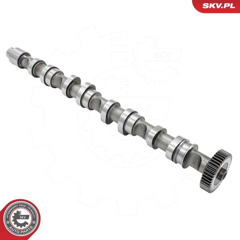 Ax cu came ESEN SKV 80SKV010