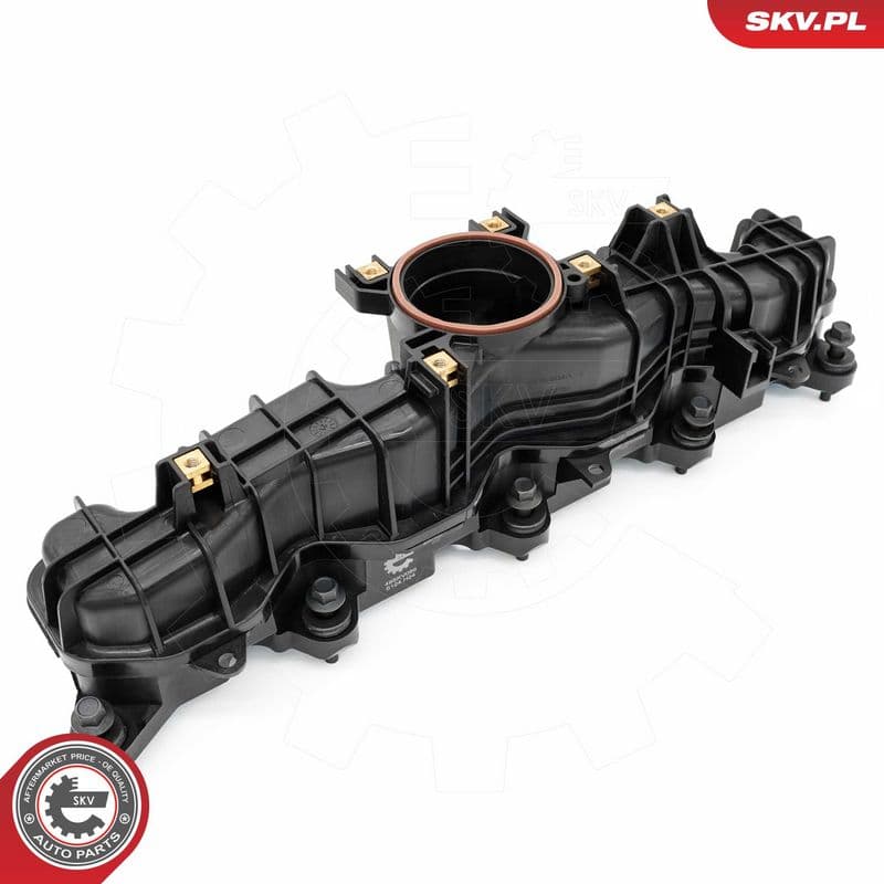 Modul conducta admisie ESEN SKV 49SKV089