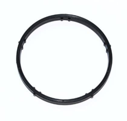 garnitura,conducta lichid de racire ELRING 004.070