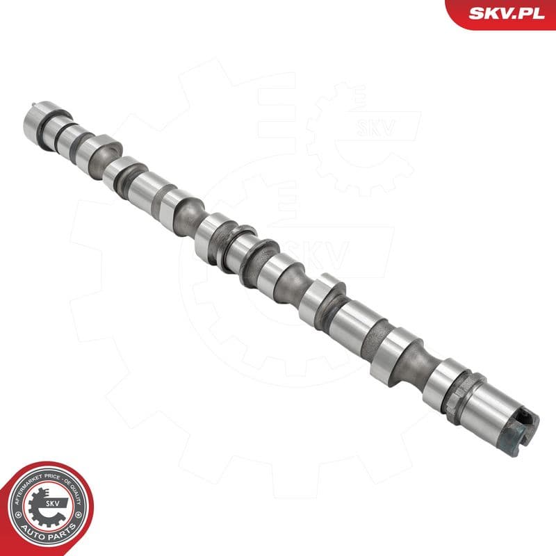 Ax cu came ESEN SKV 80SKV018