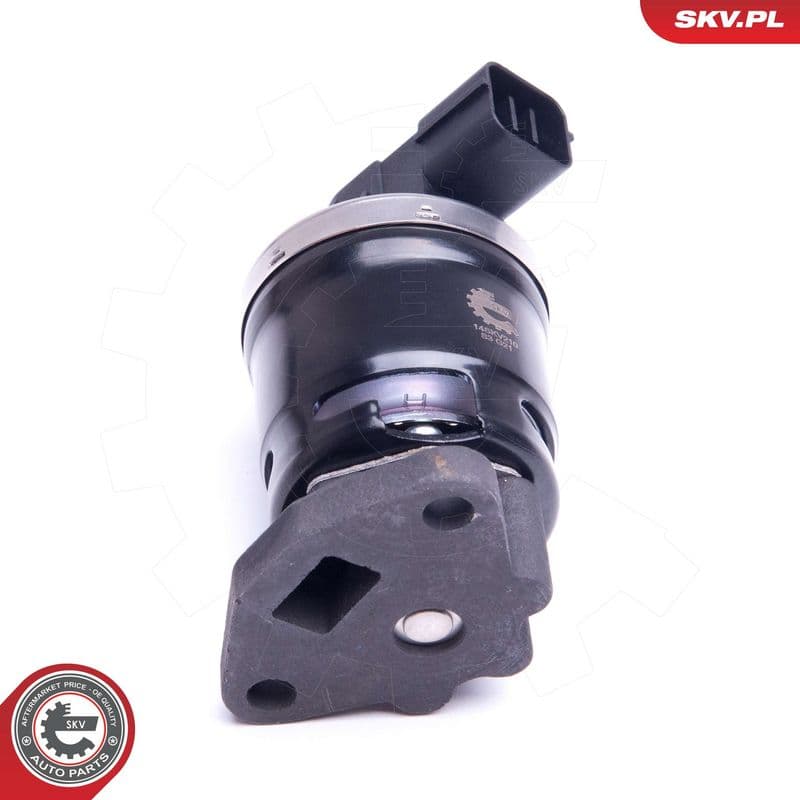 Supapa EGR ESEN SKV 14SKV210