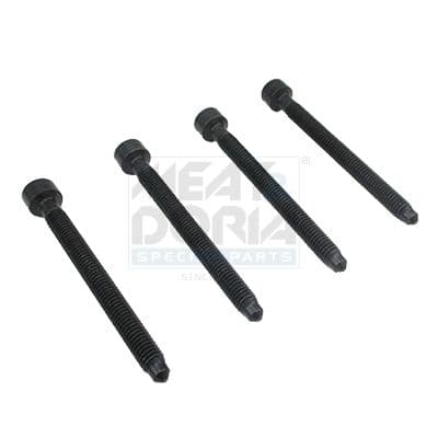 Surub ajustare pompa injectie MEAT & DORIA 98093