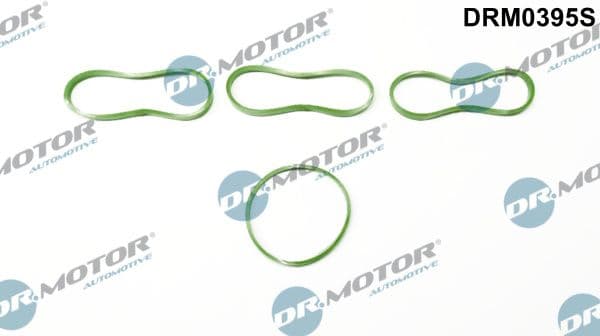 Set garnituri, galerie admisie Dr.Motor Automotive DRM0395S