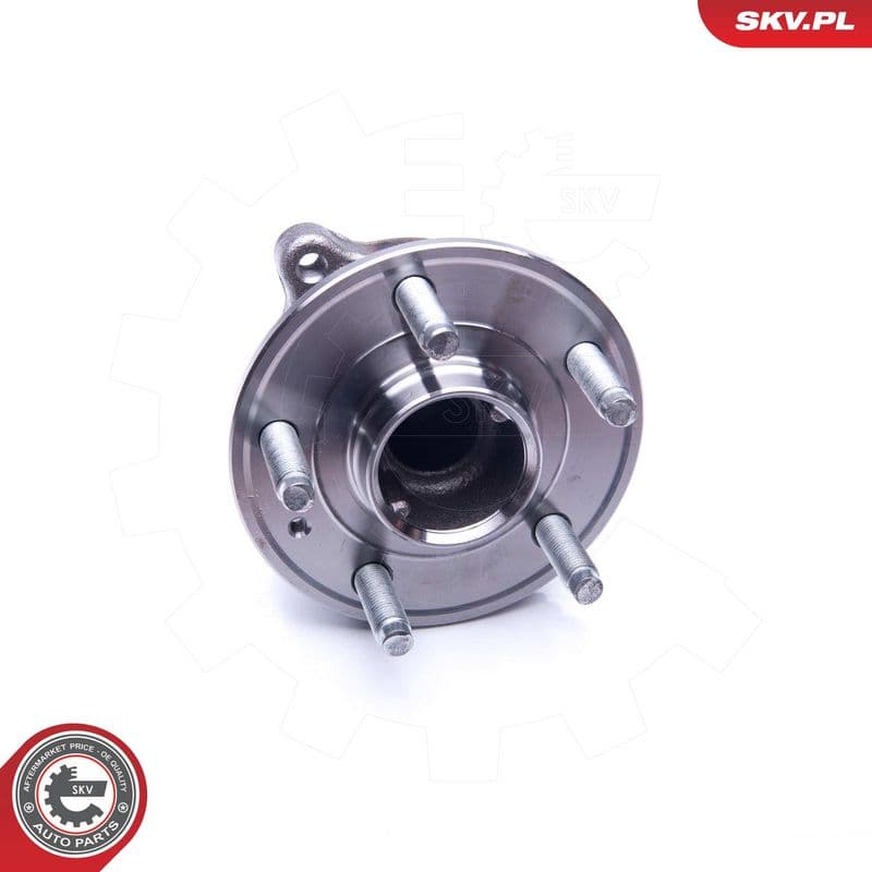 Set rulment roata ESEN SKV 29SKV237
