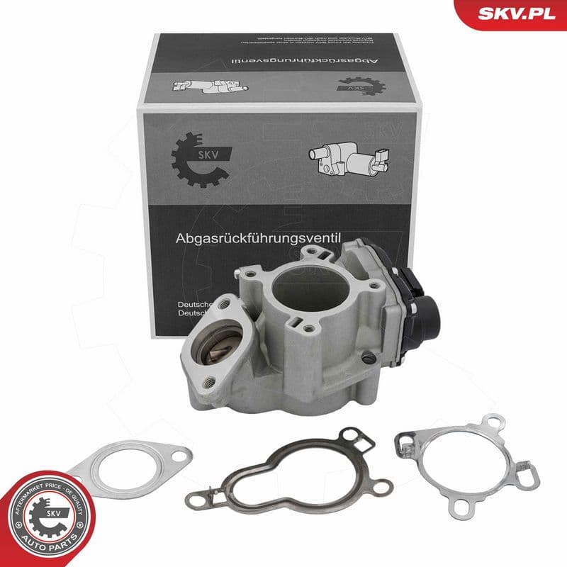 Supapa EGR ESEN SKV 14SKV317
