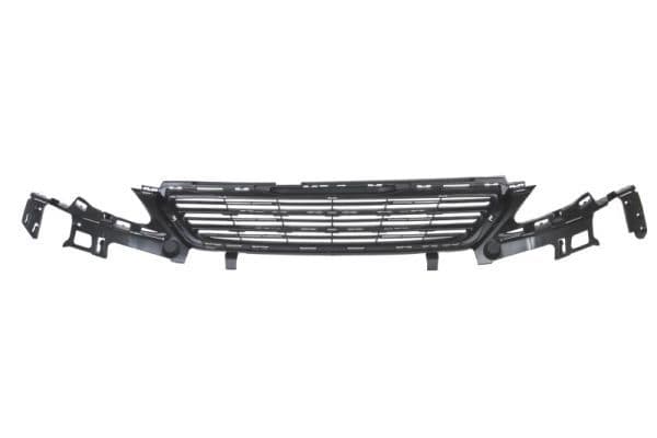Grila radiator BLIC 6502-07-5519995P
