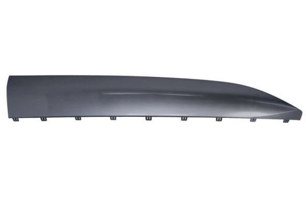 Elemente decorative/protectie, portiera BLIC 5703-04-7900574P