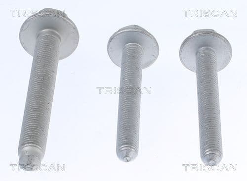 Set reparatie, suspensie TRISCAN 8500 29401