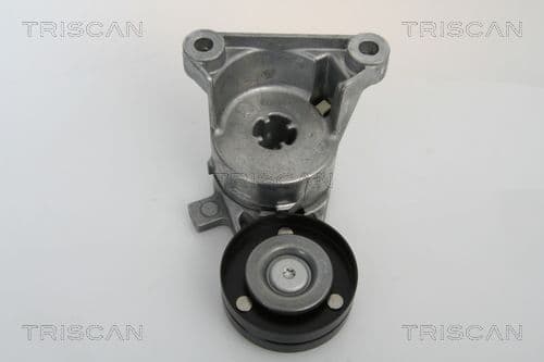 Intinzator curea, curea distributie TRISCAN 8641 273003
