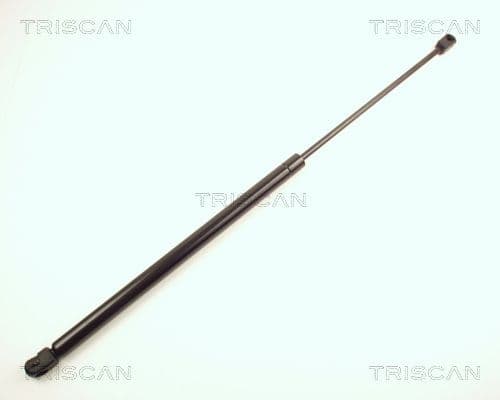 Amortizor portbagaj TRISCAN 8710 24201