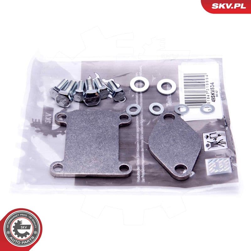 Set de reparație, supapă AGR ESEN SKV 14SKV502