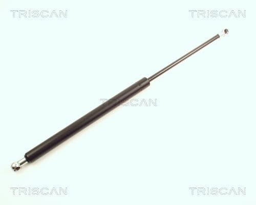 Amortizor portbagaj TRISCAN 8710 25209