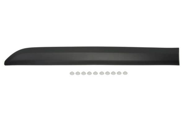 Elemente decorative/protectie, portiera BLIC 5703-04-0559574P