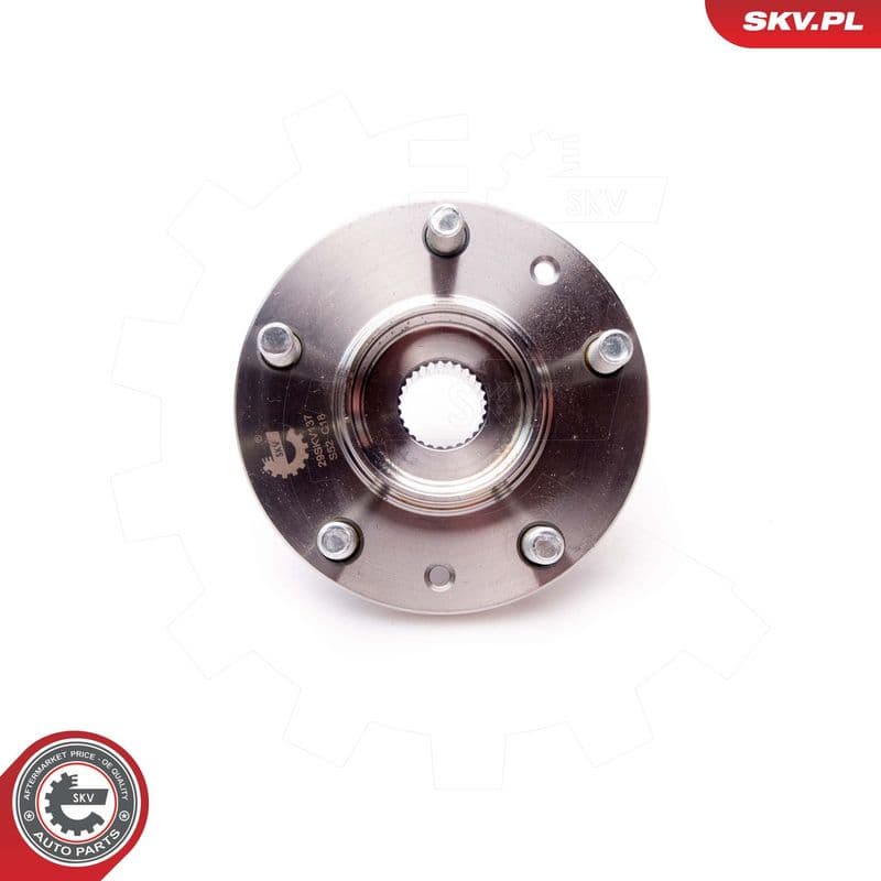 Set rulment roata ESEN SKV 29SKV137