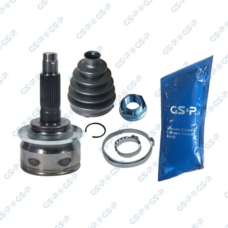 Set articulatie, planetara GSP 834248