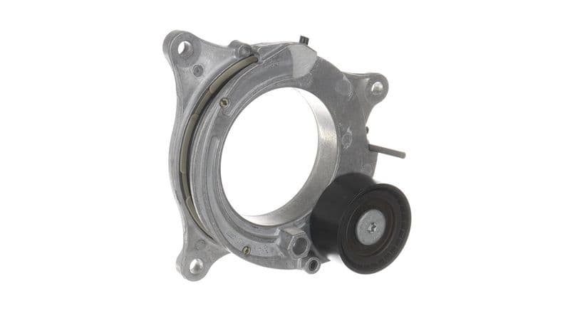 Intinzator curea, curea distributie SKF VKM 38091