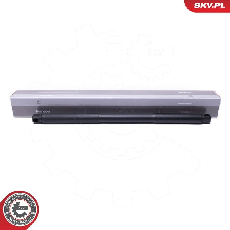 Motor electric, haion ESEN SKV 52SKV957