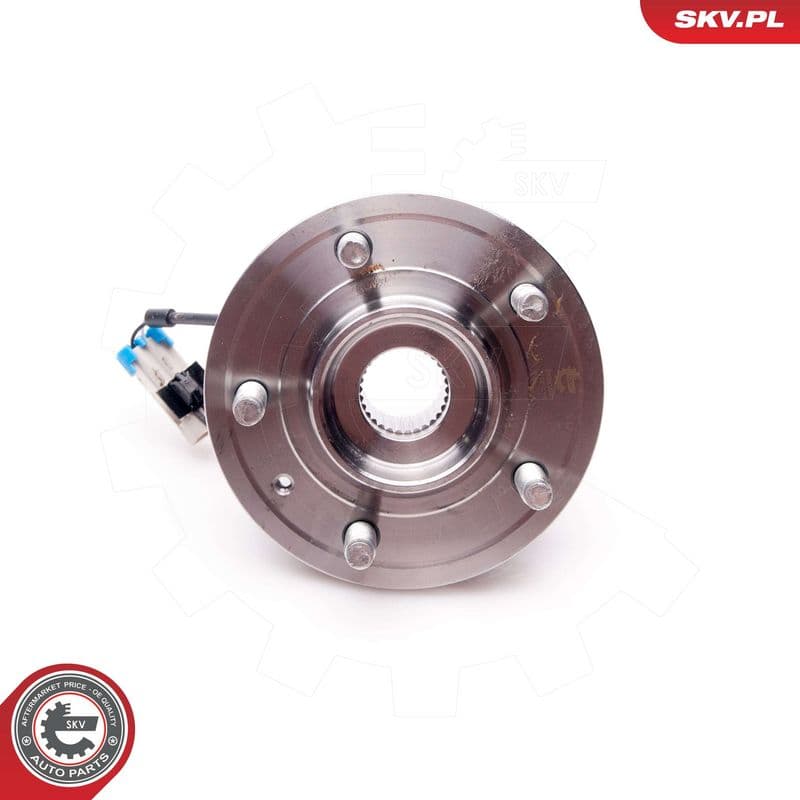 Set rulment roata ESEN SKV 29SKV061