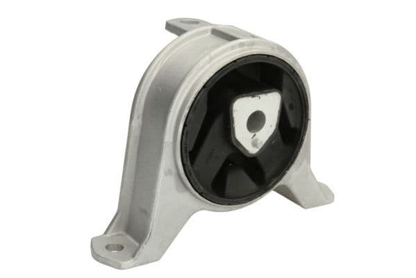Suport motor REINHOCH RH11-5013