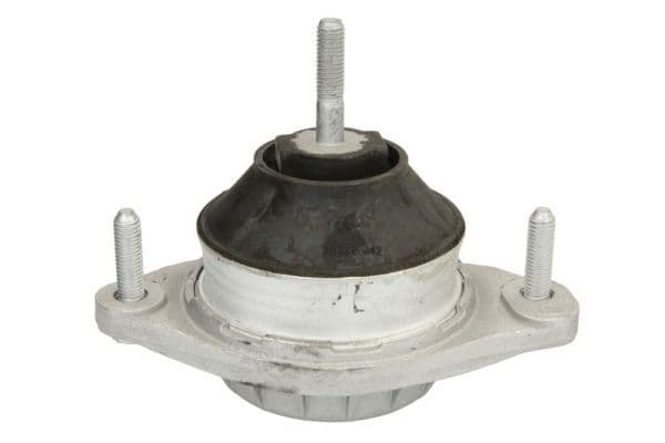 Suport motor REINHOCH RH11-0116